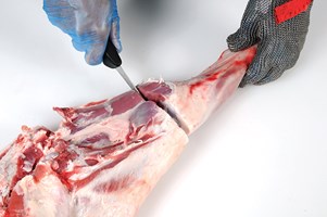 Thick Flank (untrimmed) Meat Cut Spec Step 5
